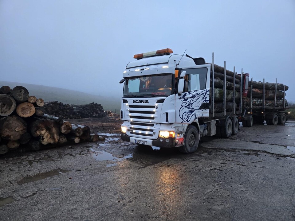 Transport cu camionul